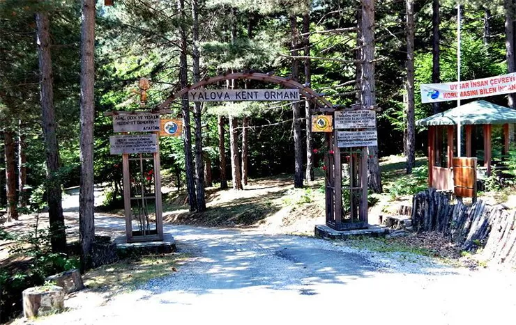 Yalova Kent Ormanı