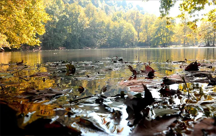 Yalova Kent Ormanı