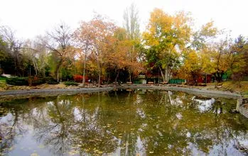 Botanik Parkı
