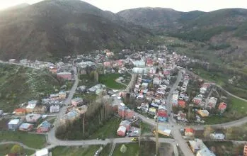 Posof