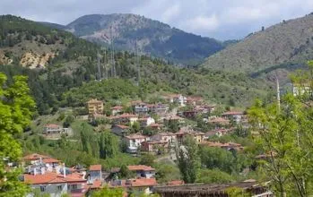 Yapraklı