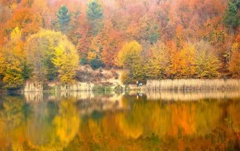 Kurugöl Tabiat Parkı