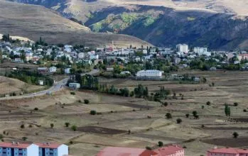 Şenkaya