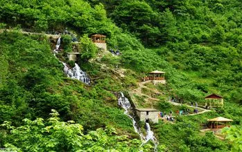 Giresun Yedideğirmenler Tabiat Park