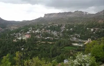 Sarıveliler