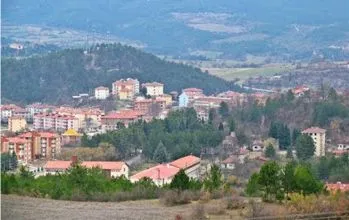 Araç
