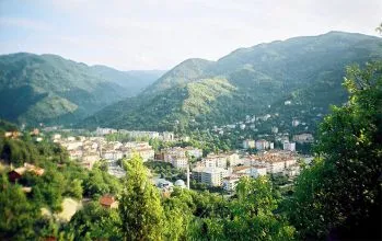 Bozkurt