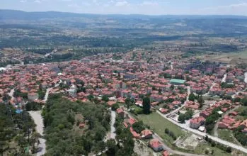 Domaniç