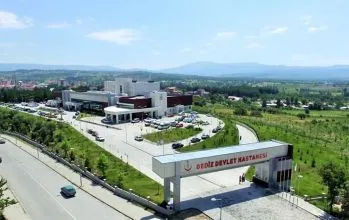 Gediz