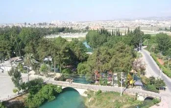 Tarsus