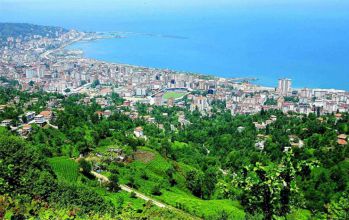Rize resmi