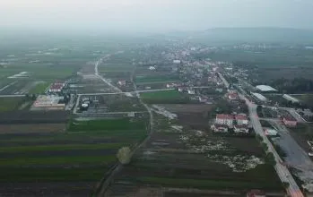 Söğütlü