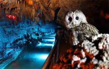 Zonguldak Gökgöl Mağarası